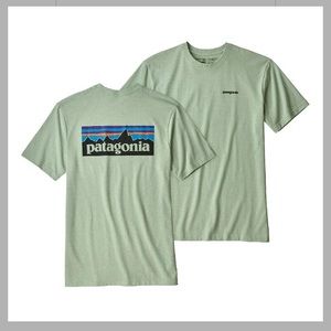 Patagonia light green t-shirt (never worn!)